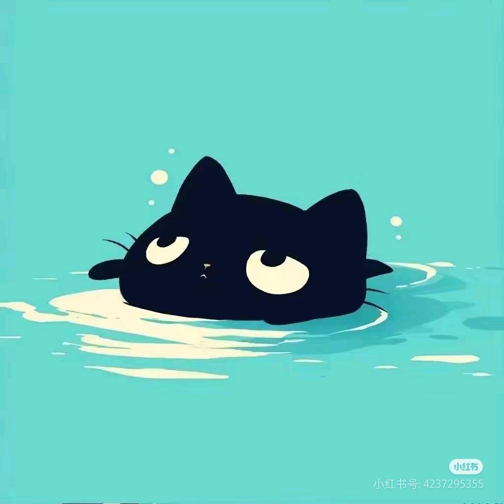 天选打工人Mr.空空