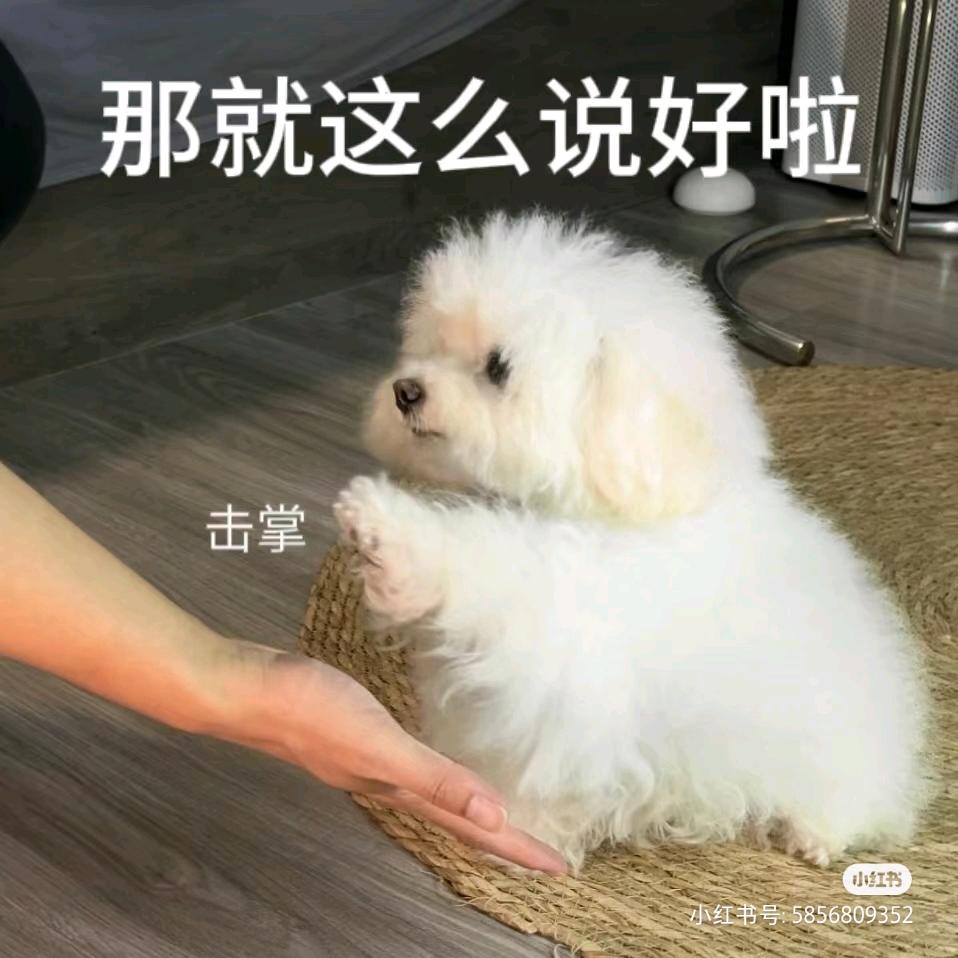 三口一个月亮🌙