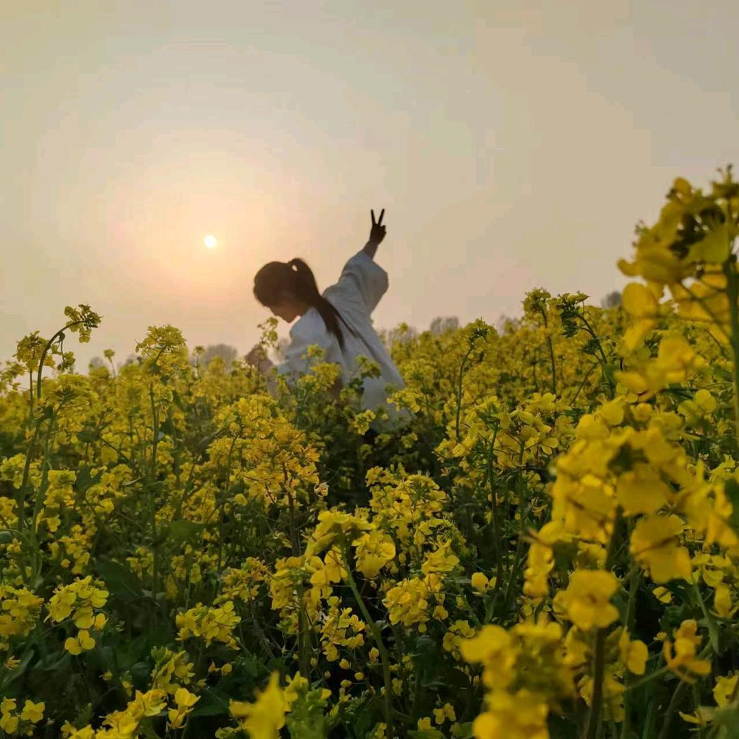 ：沉默停在半空