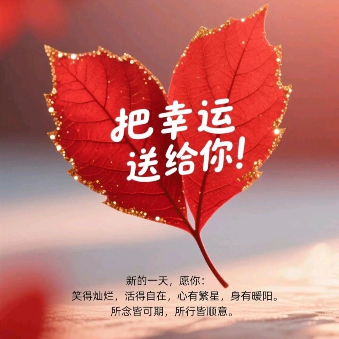 幸福像花儿一样