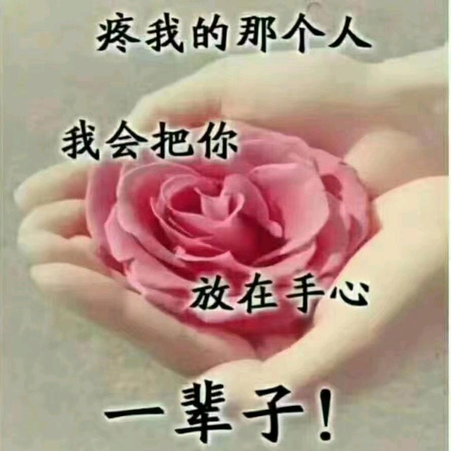 缘🌹之🌹梦