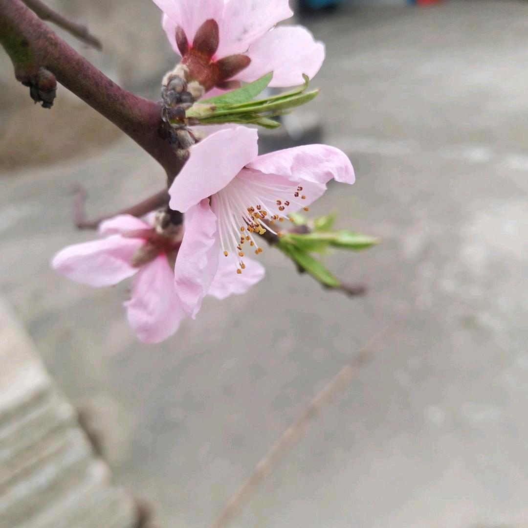 曹俊峰，相遇真的不容易