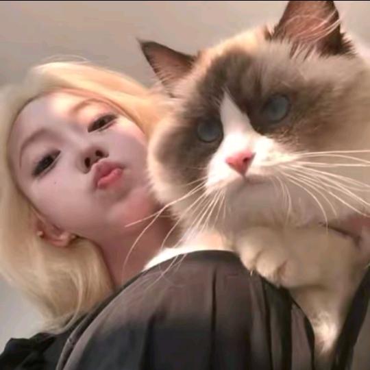 涵