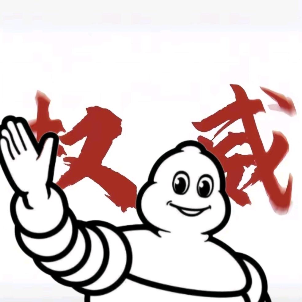 郑州米其林轮胎