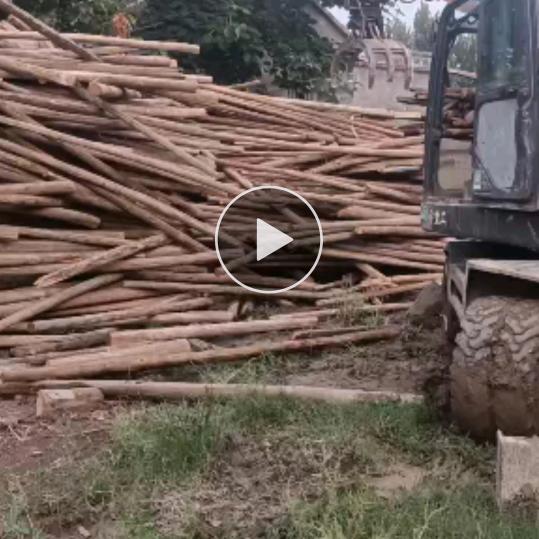 大量收购沙木下房沙木干沙方木。