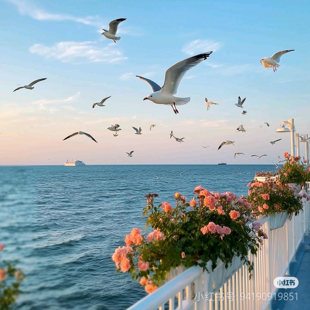 海芇䁻事