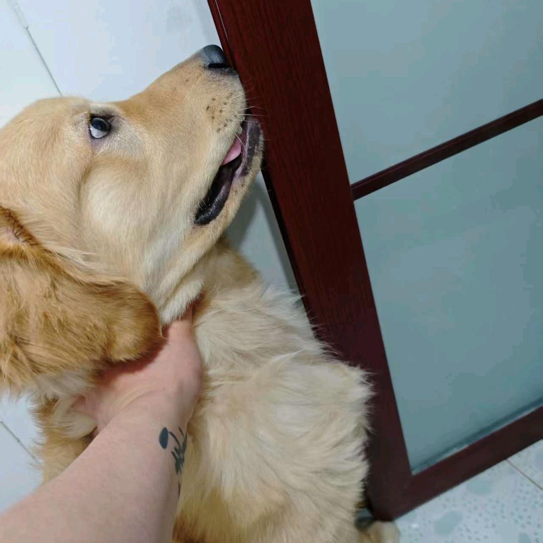 托尼老师的体育课