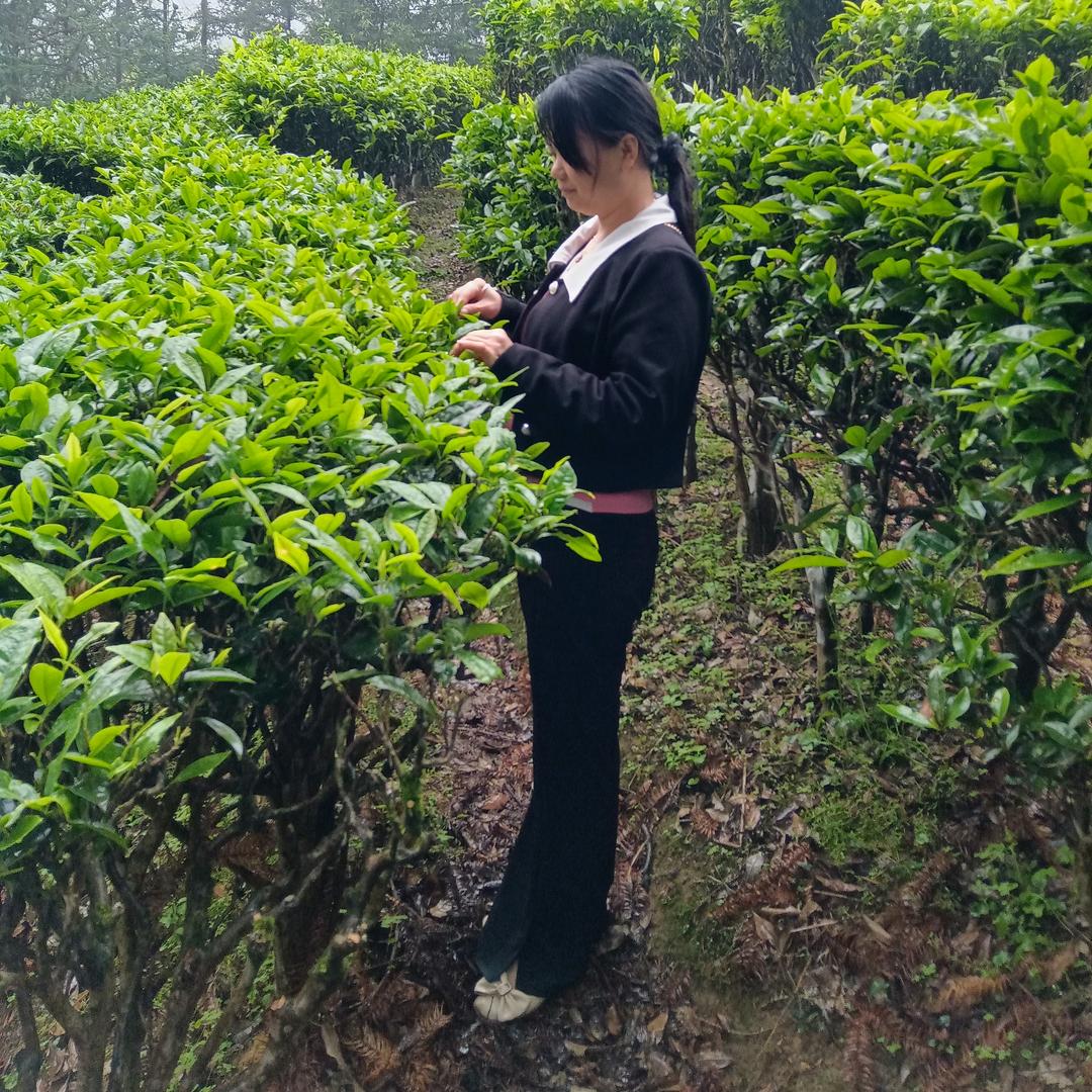 昨天去哪了