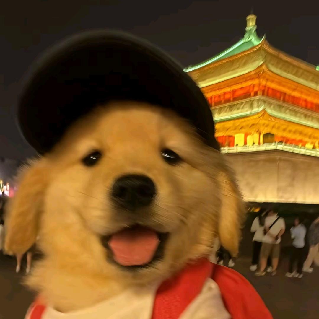 善良