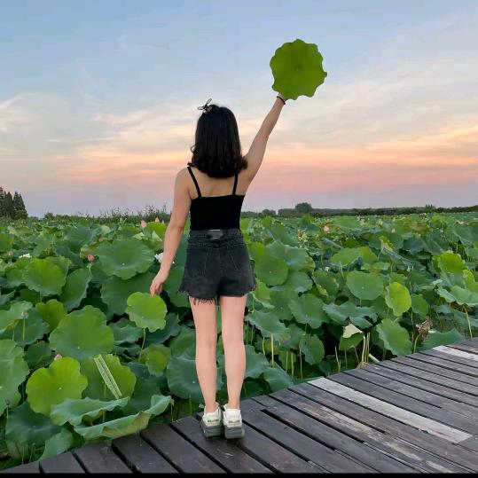 小橙橙