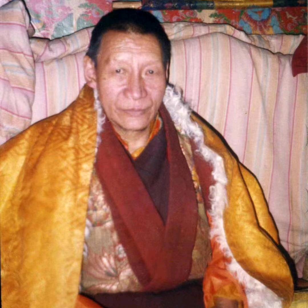 1376.    བོད.  🐅🐅