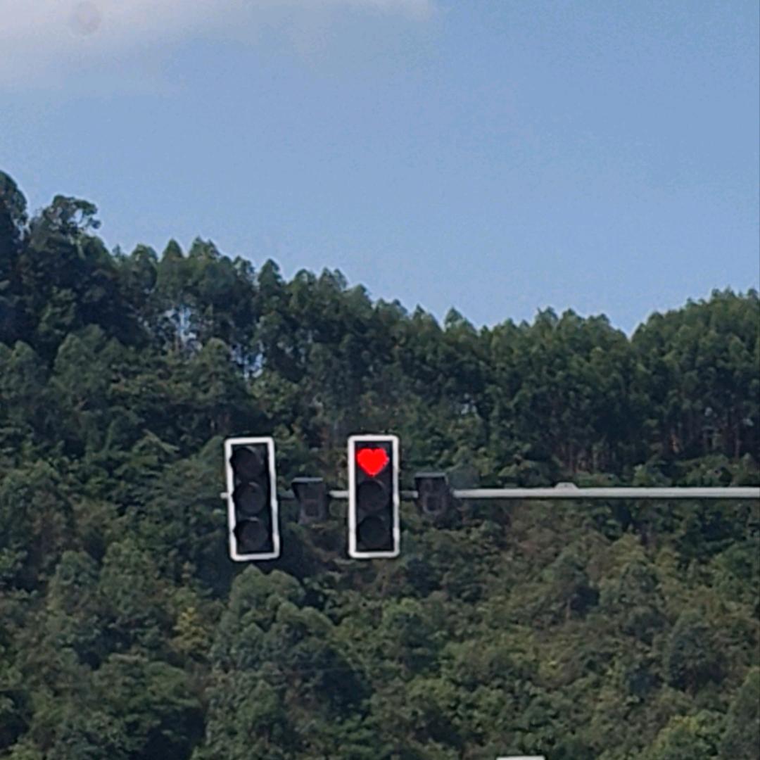 看看