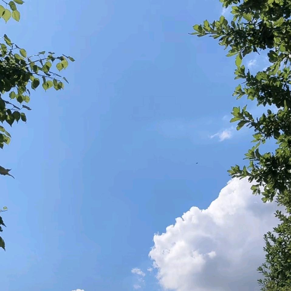 🔥小火苗