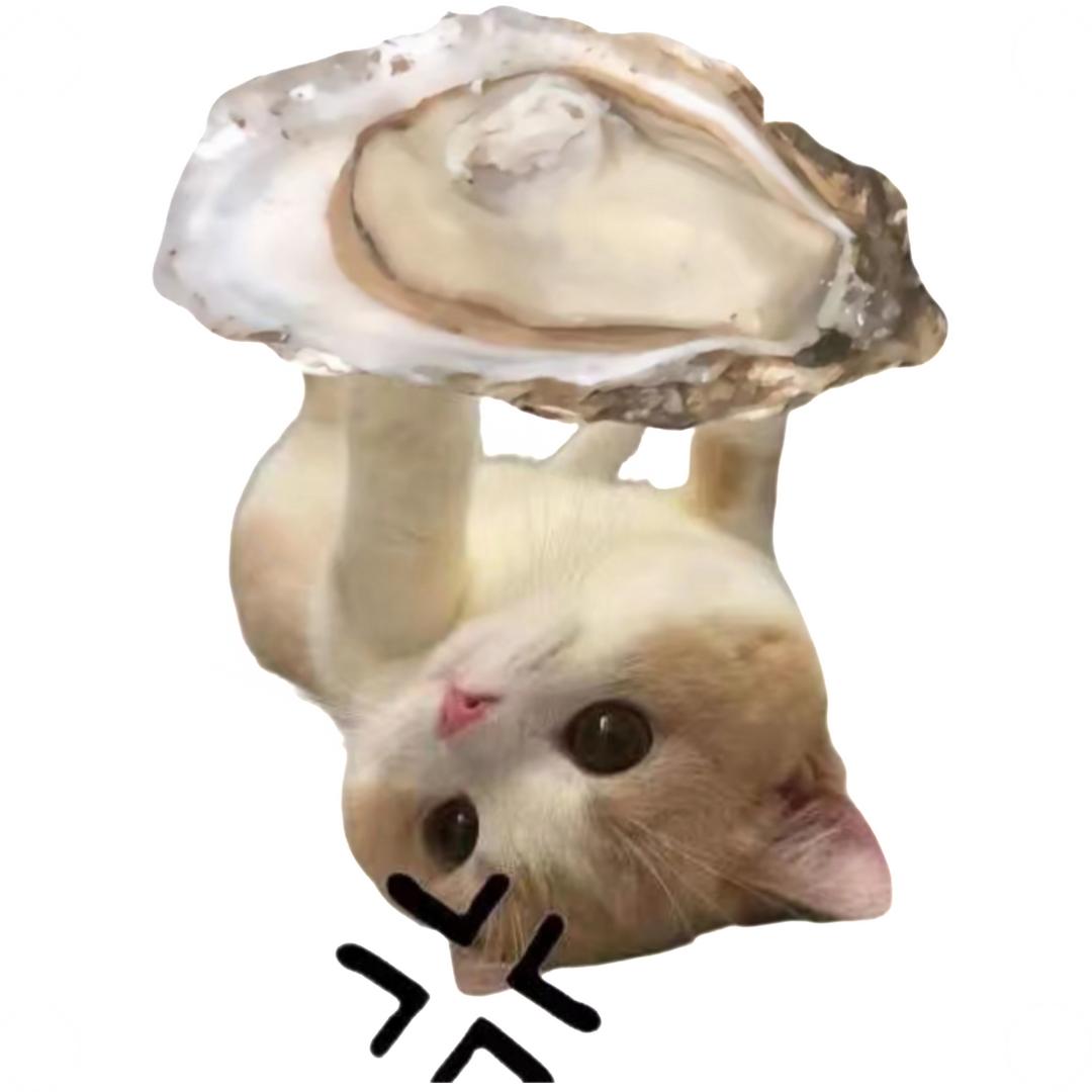 煎饼鱼（健次亲签翻牌2次版）