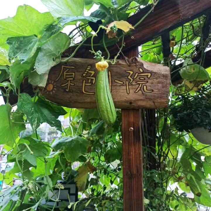 原色小院