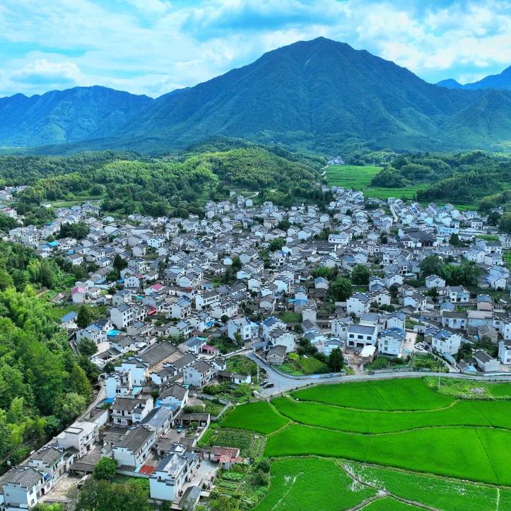 杨金银