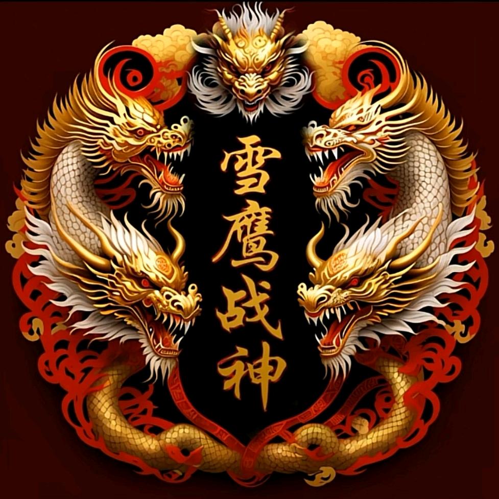 🐉雪鹰战神🐉
