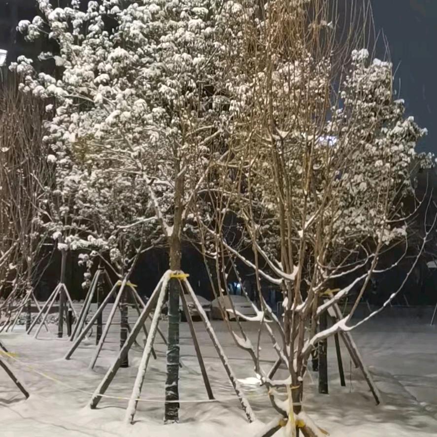 🍽🥣🥢小仙童(志学思行成)©®👀