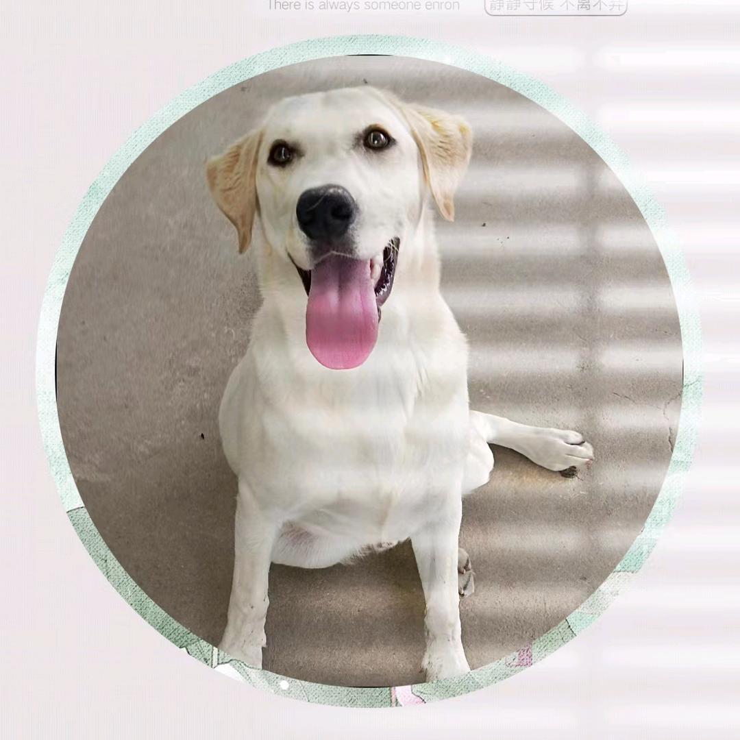 ღ᭄ꫛ沉默꧔ꦿ᭄