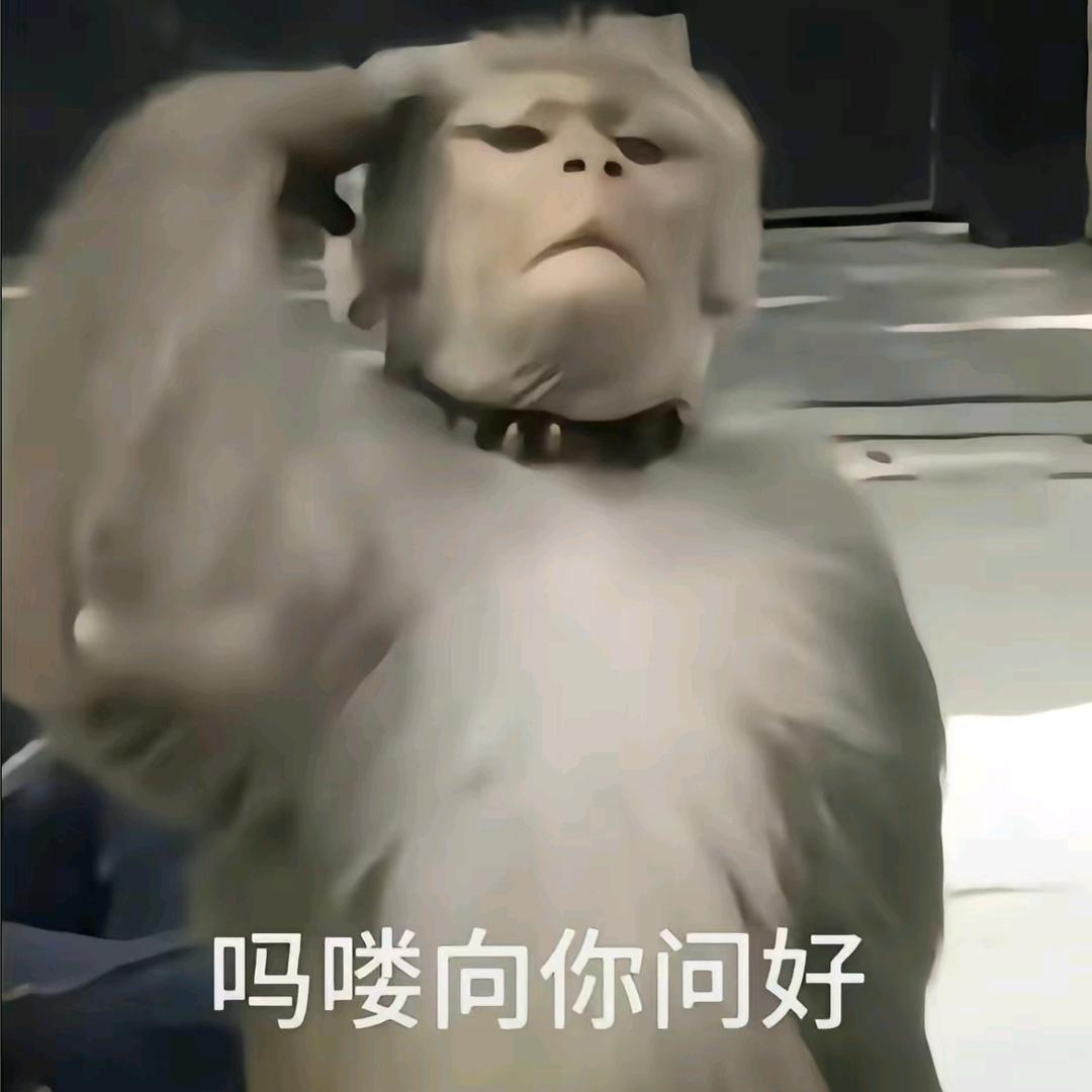 才疏学浅