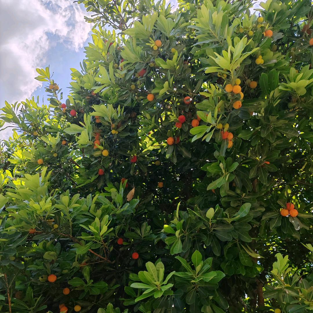 锦绣中华