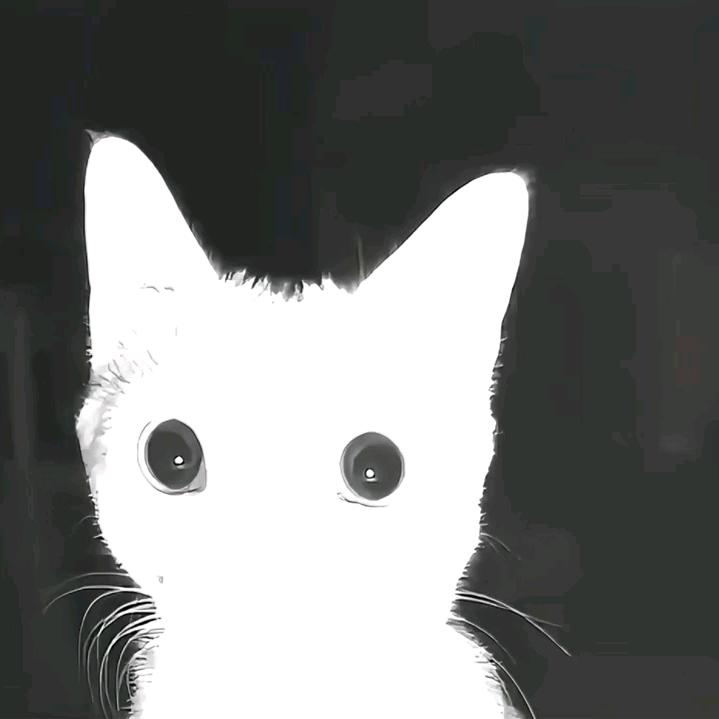 璐璐子