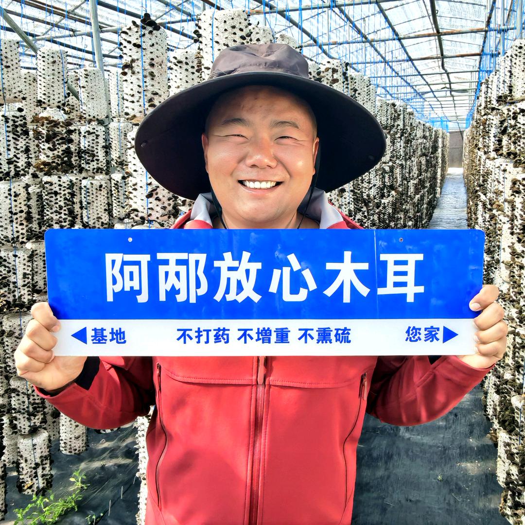 阿邴和他的木耳们