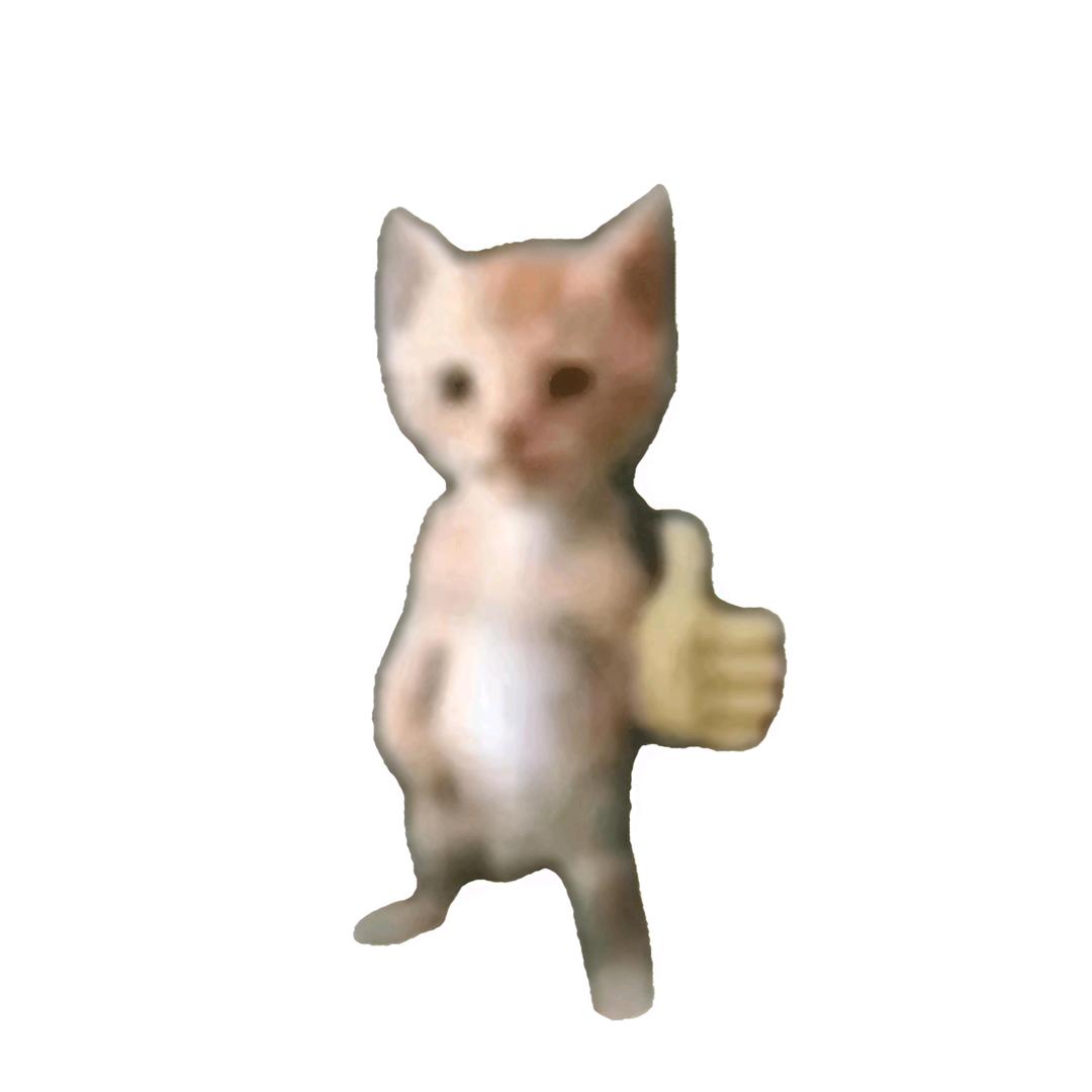 小鸡仔
