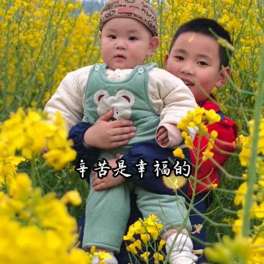 平安🌻🌲