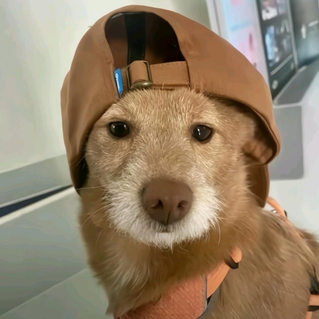 林烦恼