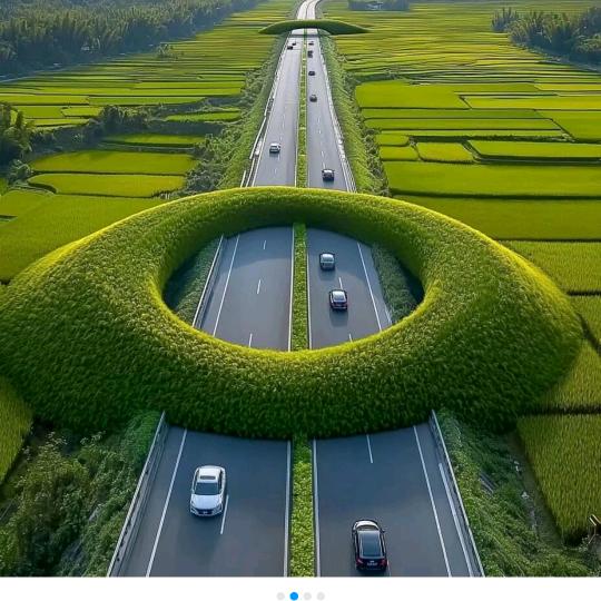 ృ༊韩先森ꦿ꯭ღ᭄🐾