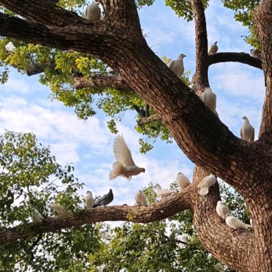 做更好的自己！