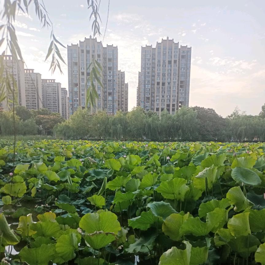 沐果呀