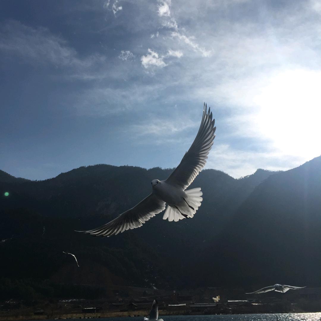 驴友