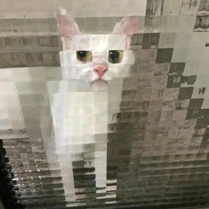 愁羡余