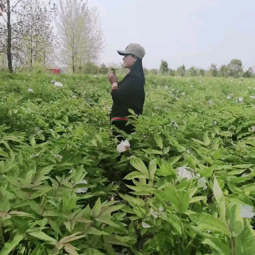 蒲敏