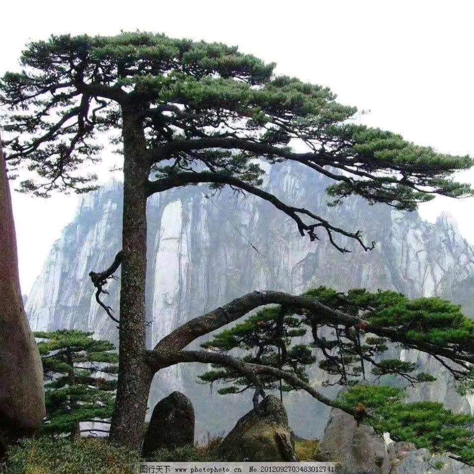 乘风破浪～🐴马到功成