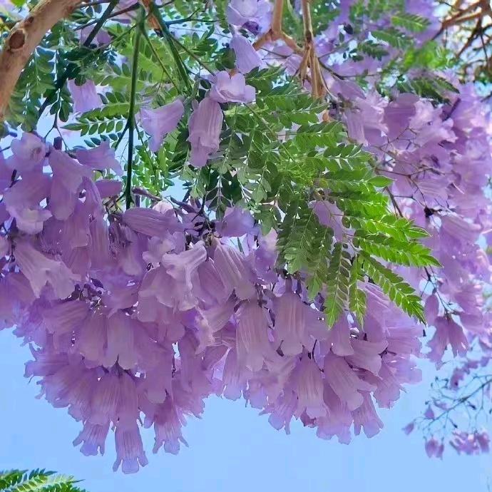 爱在巴黎沉淀