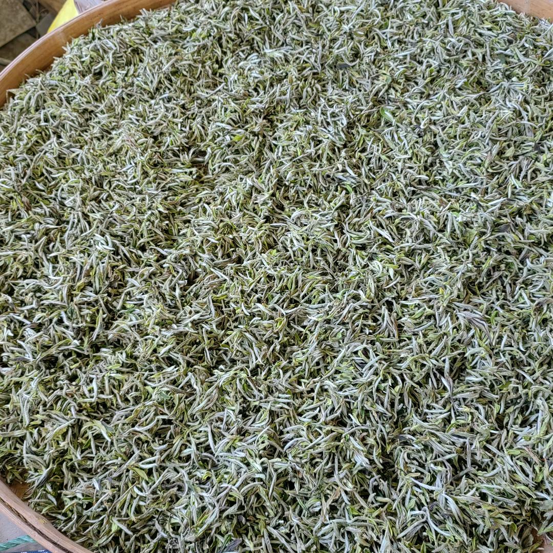 境由心生，会喝茶人，联系我，