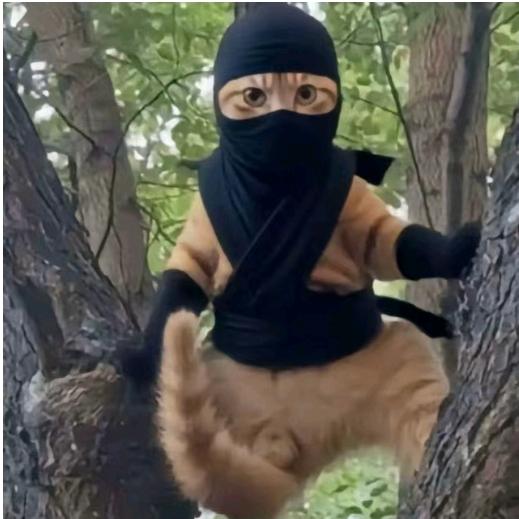 阿姨你家姑娘我要了🤓