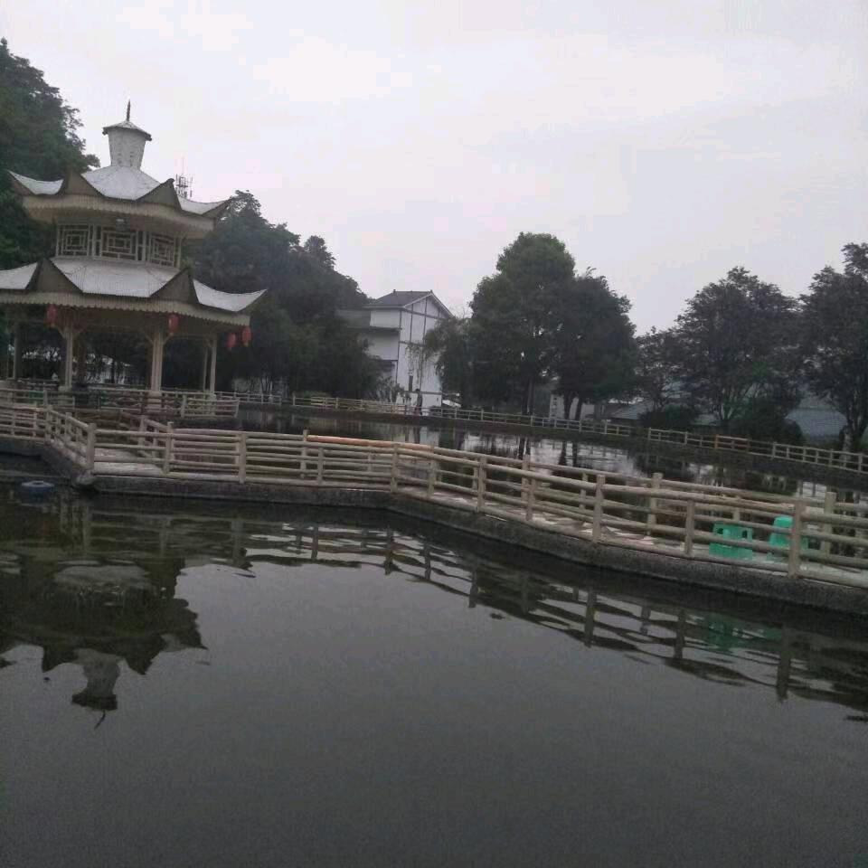 罗平