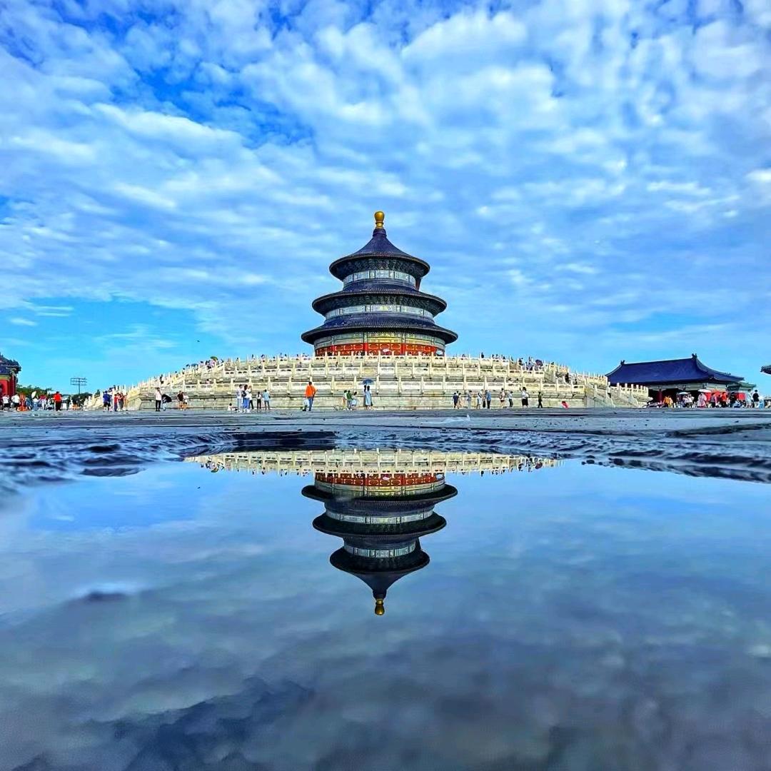 随风漂泊