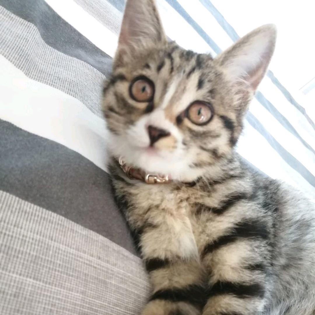 亿万