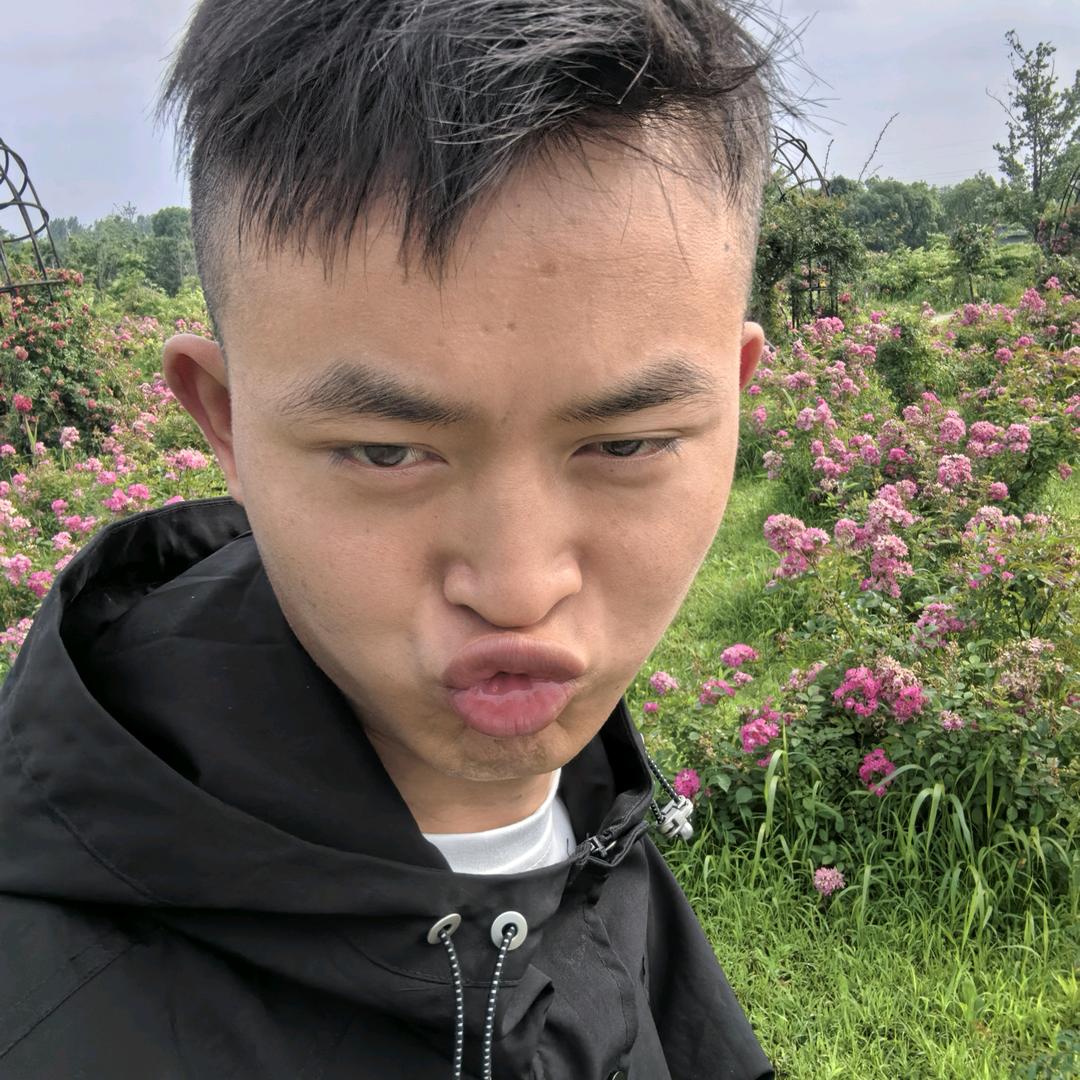 哀勃它