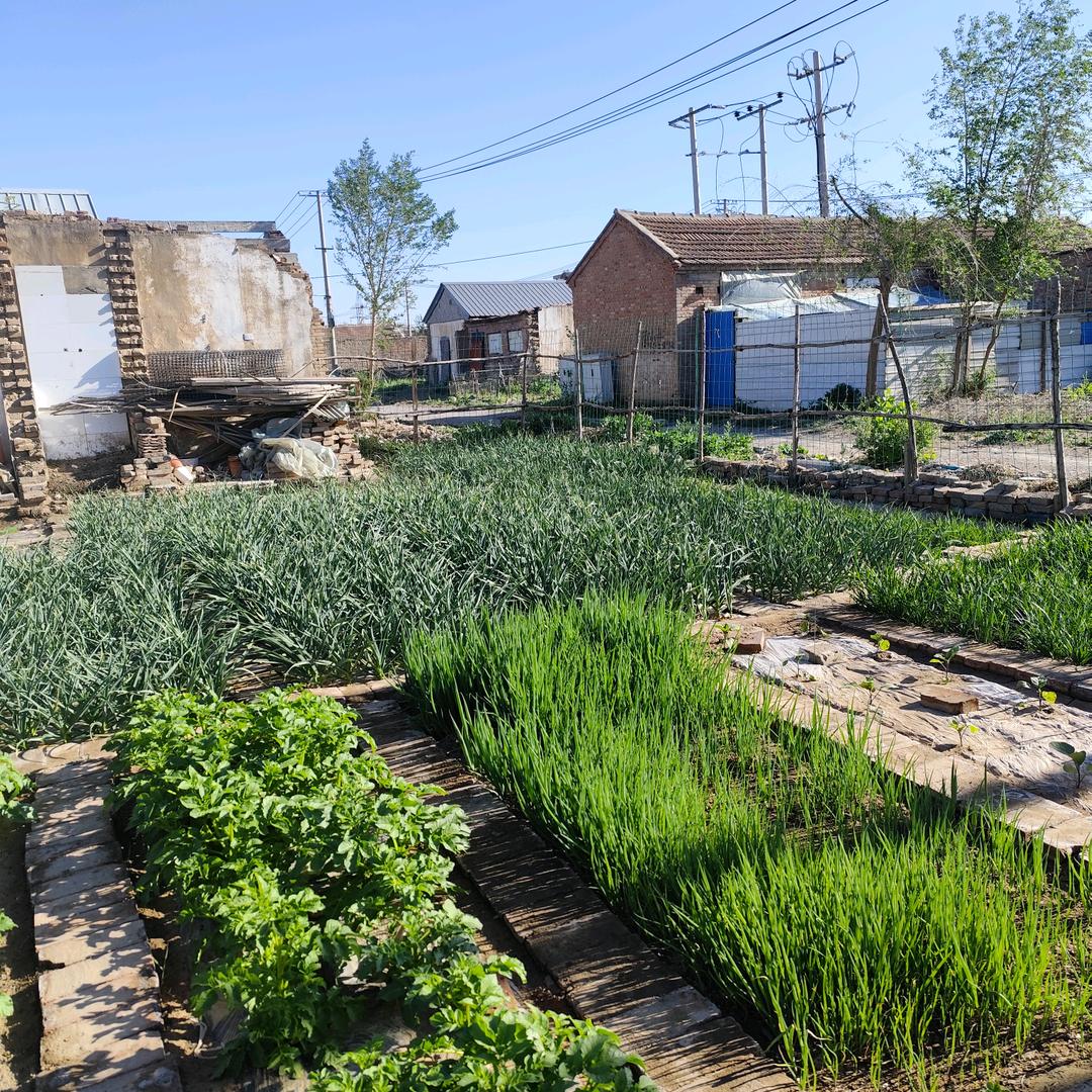 王姐（12:30）首播