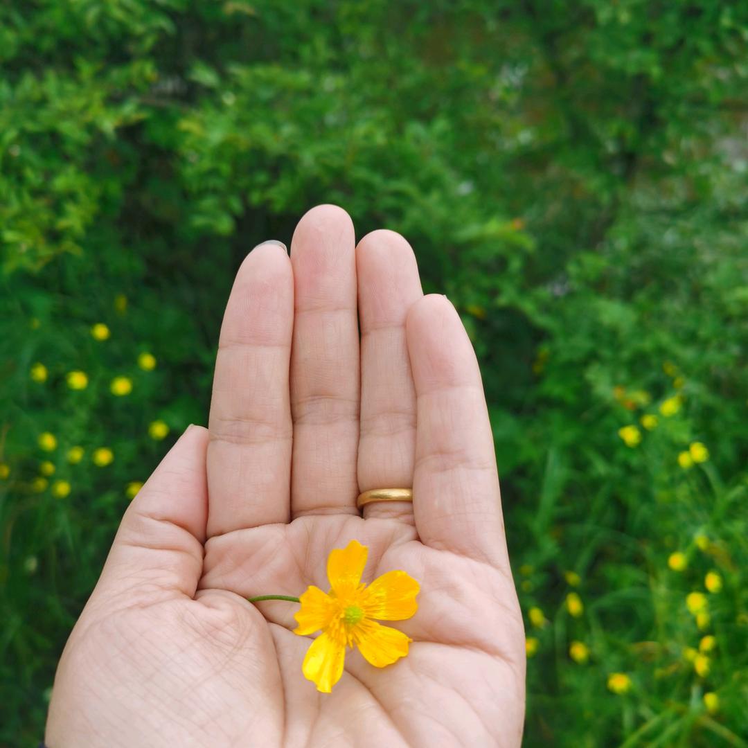 小火苗的成长能量站