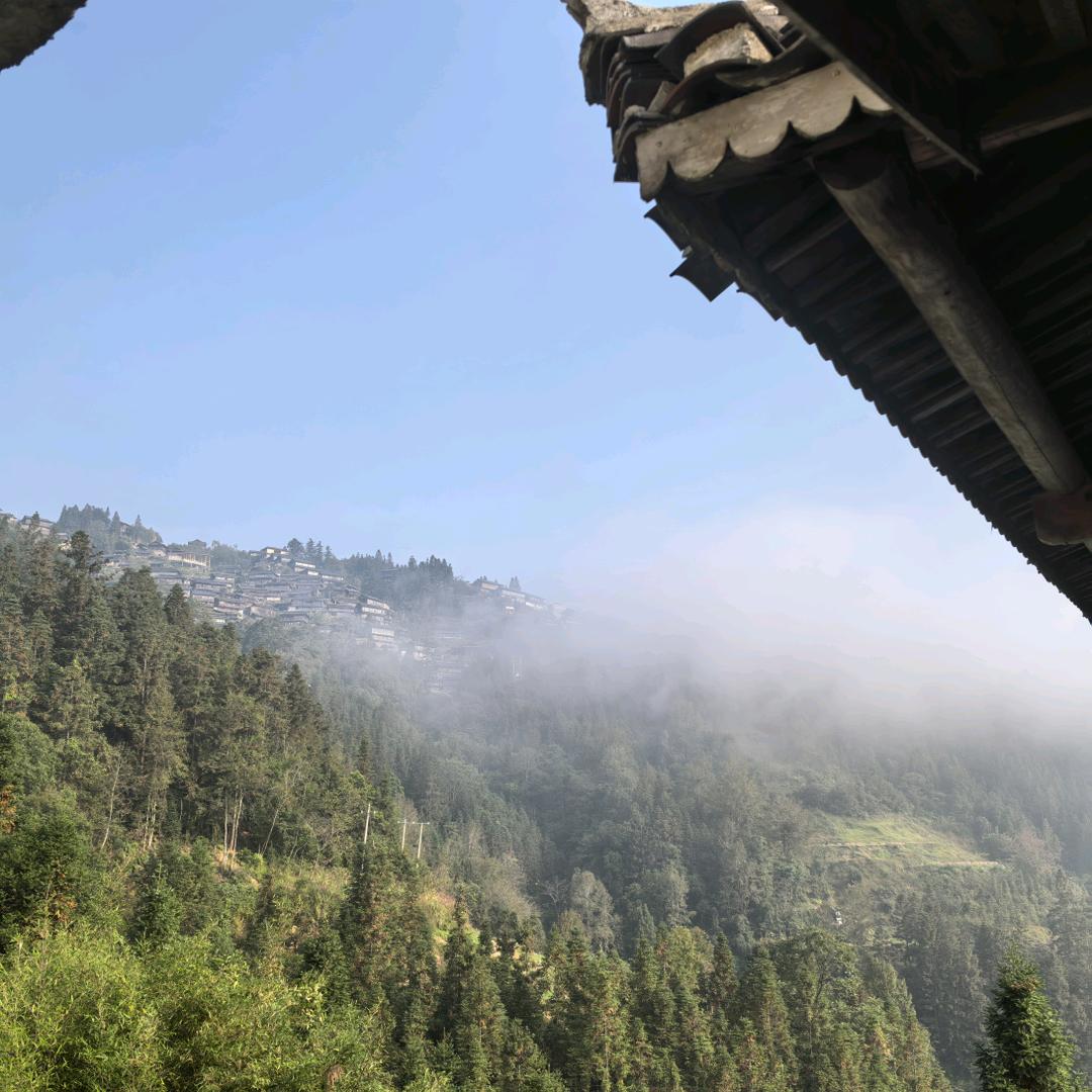 山景优选山货