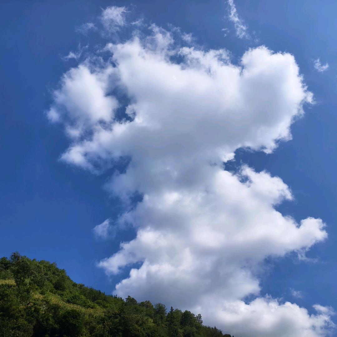 余生有你