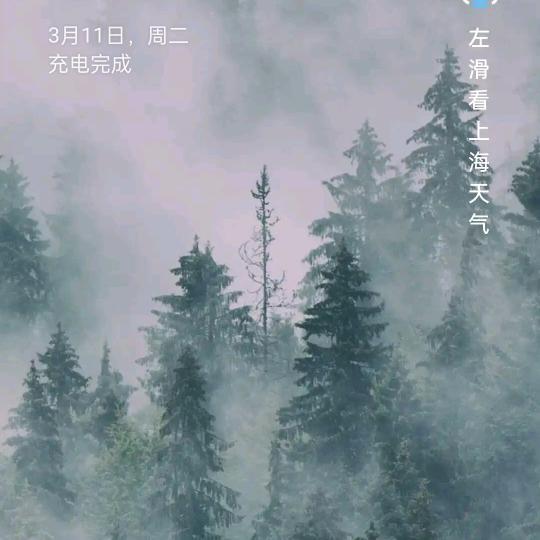 风雨过后见彩虹