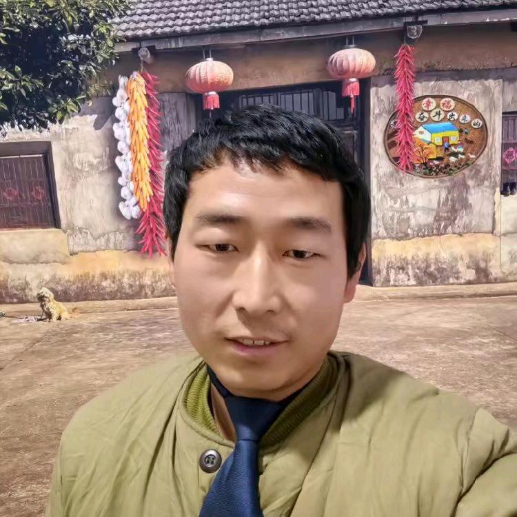 凯凯流浪狗小院